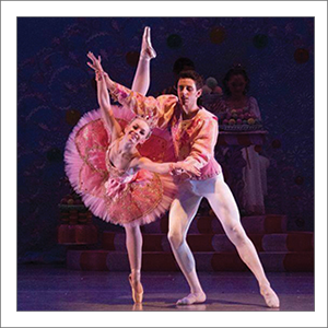What Kind of Tutu is Best for Partnering?