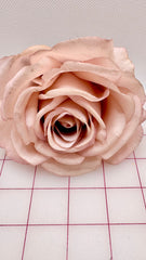 Flowers - Blush Pink Rose