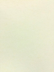 Tutu Net - 54-inches Wide Ivory By the Bolt