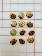 Buttons - Metallic Gold Crown and Shield New!