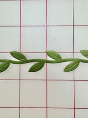 Trim - Vine and Leaves Trim