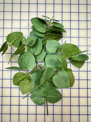 Flowers - Leaf Sets Green