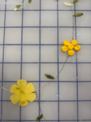 Fancy Organza- 50-inches Wide Soft White Tulle with 3D Yellow Flowers and Embroidered Vines
