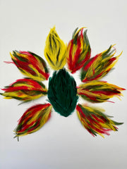 Feather Trim - Hackle Pads Multi-Color Pack Close-Out