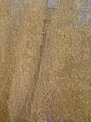 Suseni Tulle - 58/60-inches Wide Gold NEW!