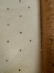 Glitter Net with Rhinestones - 60-inches Wide Golden Cocoa/Smoked Topaz