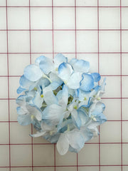 Flowers - Light Blue and White