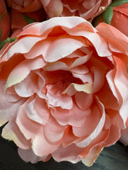 Flowers - Coral to Peach Ombre Per Dozen