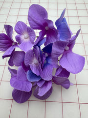 Flowers - Dogwood-Style Lavender and Periwinkle