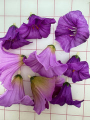 Flowers - Ombre Lilac to Purple 9-Packs