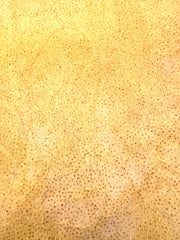 Grab Bag - Sparkle Stretch - Golden Yellow