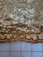 Designer Remnant - Stretch Mesh Sequined Fabric
