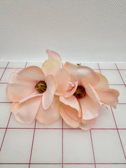 Flowers - Dogwood Peachy Pink