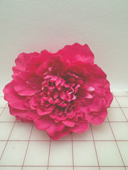 Flowers - Chrysanthemums