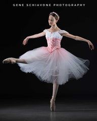 Consulting Service - Let's Talk Tutus / Costuming Private One-on-One Meetings on Zoom