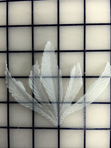 Tutu & Bodice Embellishments