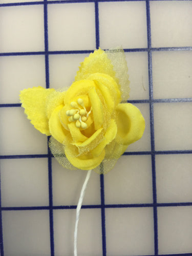 Flowers - Small Rose Buttercup