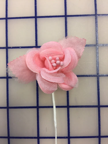 Flowers - Small Rose Candy Pink