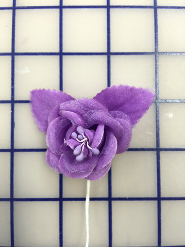 Flowers - Small Rose Orchid