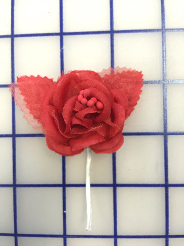 Flowers - Small Rose Red