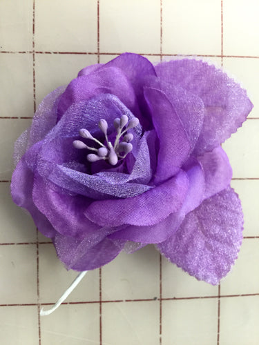 Flowers - Medium Rose Orchid