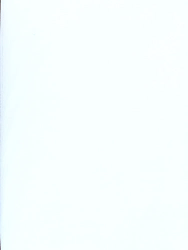 Tutu Net - English Multi-Filament White 54/60-inches Wide