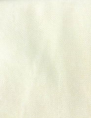 Tutu Net - 54-inches Wide Ivory