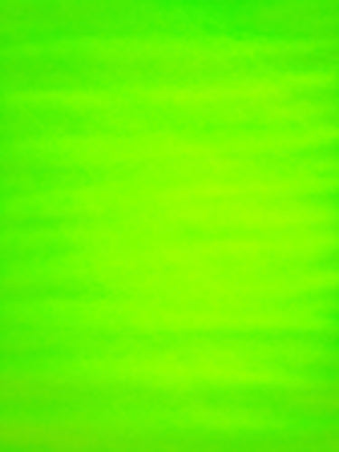 Glimmer Tulle - 54-inches Wide Citrus (Fl. Green)