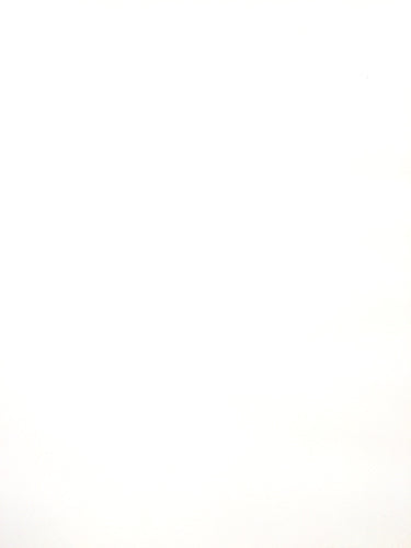 Glimmer Tulle - 54-inches Wide White