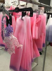 Dying to Dye Course Level 1: The Basics