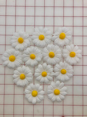 Flowers - Daisy White and Yellow 3-Pack