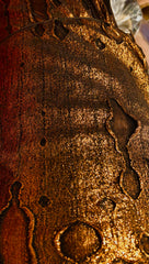 Misc Stretch - 58-inches Wide Metallic Distressed Lycra Copper Close-Out