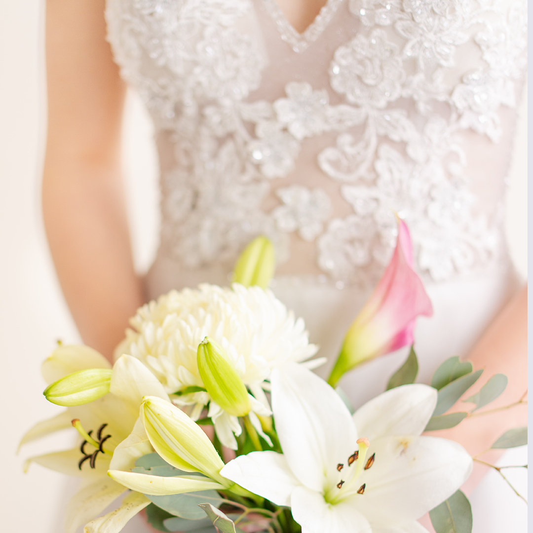 Romance Collection – Tutu.com