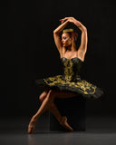 Metallic Applique - Gold Metallic Sequined Lace