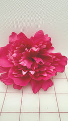 Flowers - Chrysanthemums