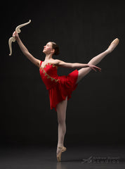 Props - Diana Bow