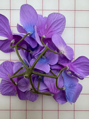 Flowers -  Dogwood-Style Lavender and Periwinkle