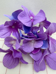 Flowers -  Dogwood-Style Lavender and Periwinkle