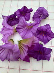 Flowers -  Ombre Lilac to Purple 9-Packs