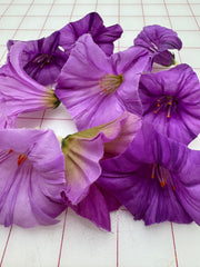 Flowers -  Ombre Lilac to Purple 9-Packs