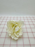 Flowers - Beautiful Pale Ivory Cream Special Purchase!