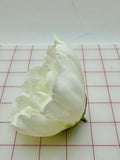 Flowers - Beautiful Pale Ivory Cream Special Purchase!