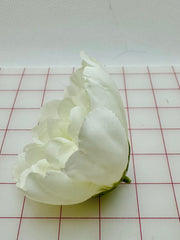 Flowers - Beautiful Pale Ivory Cream Special Purchase! Per Dozen
