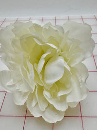 Flowers - Beautiful Pale Ivory Cream Special Purchase! Per Dozen