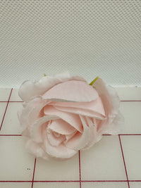 Flowers - Pale Pink Rose