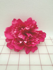 Flowers - Chrysanthemums