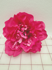 Flowers - Chrysanthemums