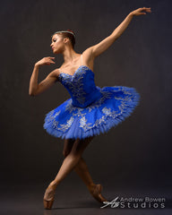 Consulting Service - Let's Talk Tutus / Costuming Private One-on-One Meetings on Zoom