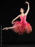 Download - Ballet Bodice 16 Piece Bodice Pattern Adult
