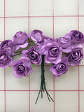 Flowers - Mini Roses Purple